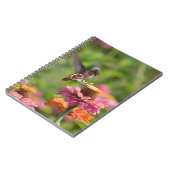 Carnet Fleurs Zinnia de colibri (Côté gauche)