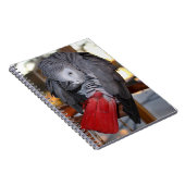 Carnet Flexible Congo perroquet gris africain avec queue  (Côté Droit)
