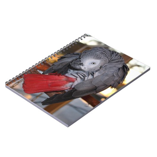 Carnet Flexible Congo perroquet gris africain avec queue  (Côté gauche)