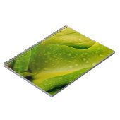Carnet Flora Dominique 3 (Côté gauche)