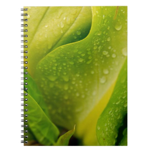 Carnet Flora Dominique 3 (Devant)