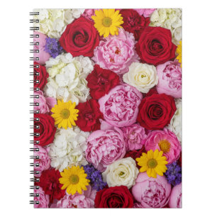 Carnet Floraison estivale luxuriante
