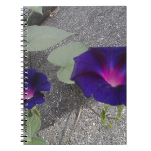 Carnet floral