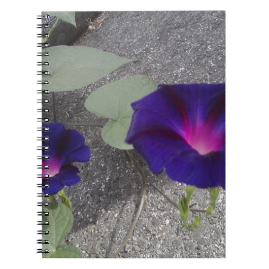 Carnet floral (Devant)