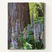Carnet floral Acanthe/Queue d'ours (Dos)