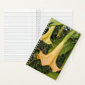 Carnet Floral Brugmansia jaune (À l'intérieur)