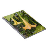 Carnet Floral Brugmansia jaune (Côté Droit)