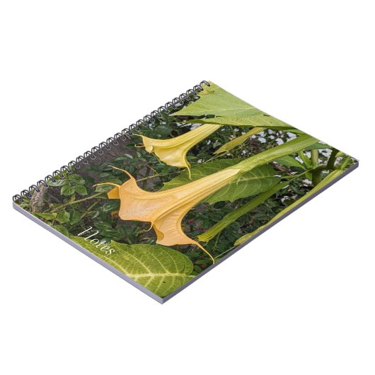 Carnet Floral Brugmansia jaune (Côté gauche)