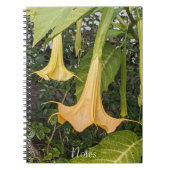 Carnet Floral Brugmansia jaune (Devant)