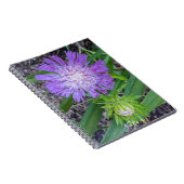 Carnet Floral d'aster de Purple Stoke (Côté Droit)