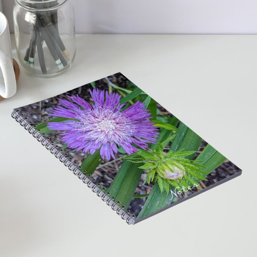 Carnet Floral d'aster de Purple Stoke