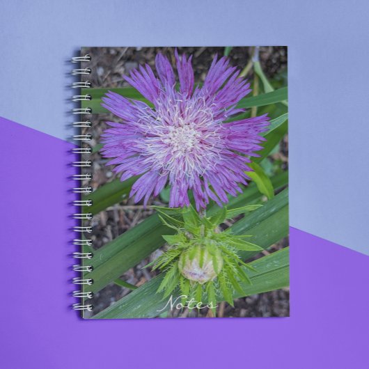 Carnet Floral d'aster de Purple Stoke