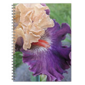 Carnet Floral de fleur d'Iris brun et de Pêche (Devant)