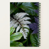 Carnet Floral de fougères peintes au Japon (Verso)