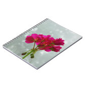 Carnet floral de Geranium rose (Côté gauche)