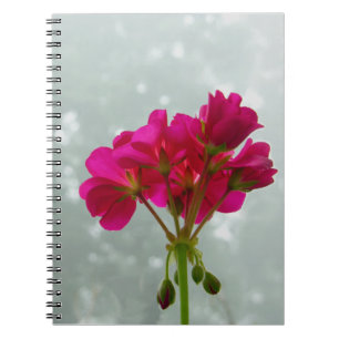 Carnet floral de Geranium rose