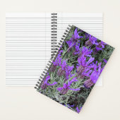 Carnet Floral de lavande espagnole (À l'intérieur)