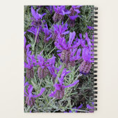Carnet Floral de lavande espagnole (Verso)