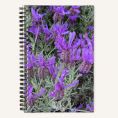 Carnet Floral de lavande espagnole (Recto)