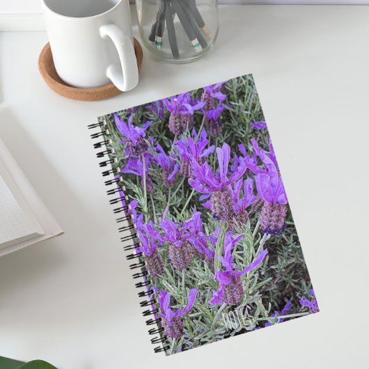 Carnet Floral de lavande espagnole