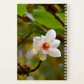 Carnet Floral de Magnolia Blanche en floraison (Verso)