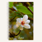 Carnet Floral de Magnolia Blanche en floraison (Recto)