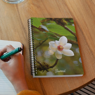 Carnet Floral de Magnolia Blanche en floraison