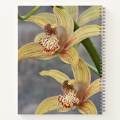 Carnet floral des orchidées de Cymbidium (Dos)