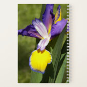 Carnet Floral d'Iris de Sibérie pourpre et jaune (Verso)