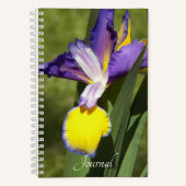 Carnet Floral d'Iris de Sibérie pourpre et jaune (Recto)