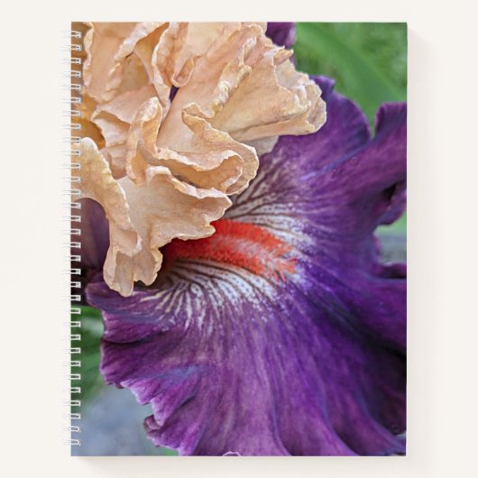 Carnet Floral Fleur d'Iris à deux tons (Devant)