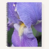 Carnet Floral Fleur d'Iris Pourpre (Devant)