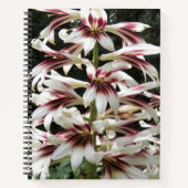 Carnet floral géant de Lilies himalayennes (Devant)