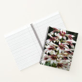Carnet floral géant de Lilies himalayennes (Intérieur)