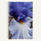 Carnet Floral Iris Barbu Violet (Recto)
