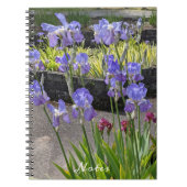 Carnet Floral Irises à poils violets (Devant)