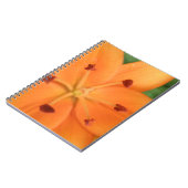 Carnet Floral Lily orange (Côté gauche)