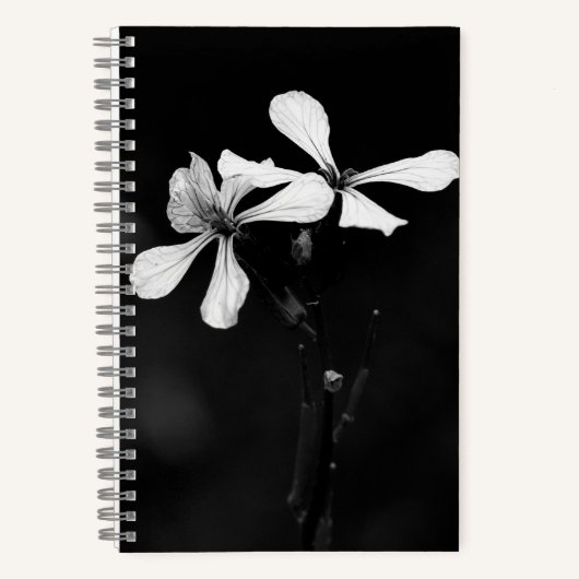 Carnet floral noir et blanc minimal (Recto)
