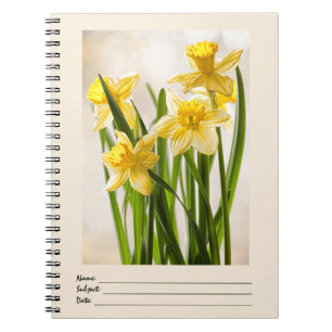 Carnet Floral Photography : Daffodique de printemps jaun