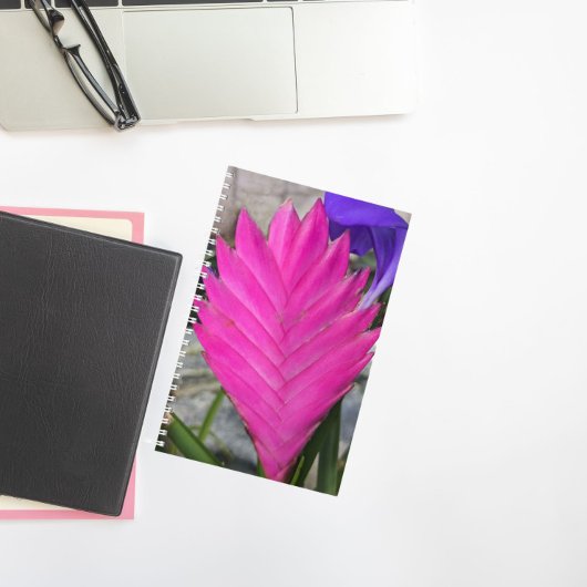 Carnet Floral Plante rose Quill