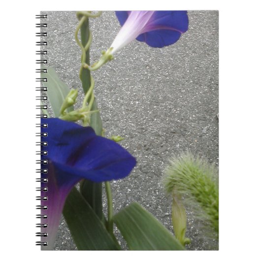 Carnet Floral pourpre (Devant)