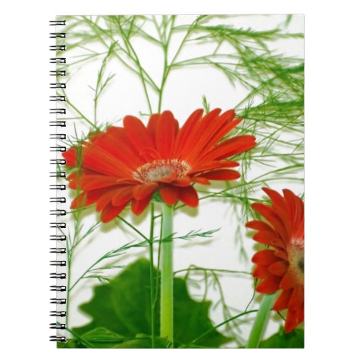 Carnet Floral rouge (Devant)