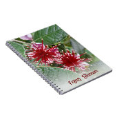 Carnet Floral Rouge néo-zélandais Feijoa Blossoms (Côté Droit)
