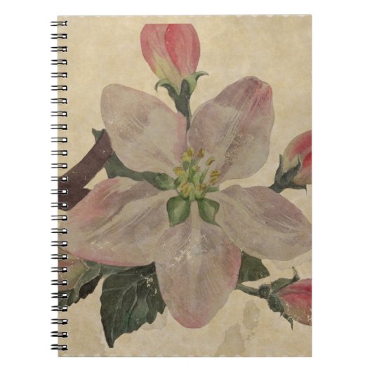 Carnet Floral : Vintage (Devant)