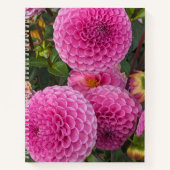 Carnet Flore de boule rose Dahlias (Devant)