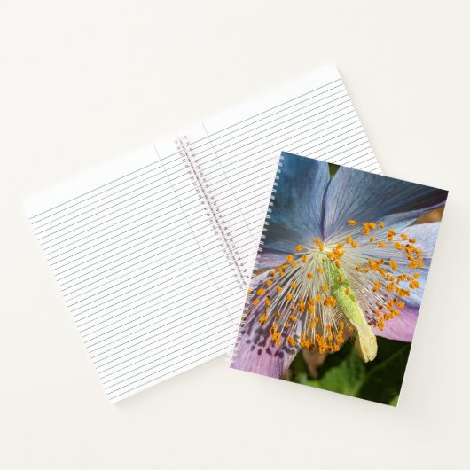 Carnet Flore de fleurs de crapaud bleu (Intérieur)