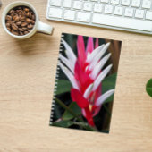Carnet Flore de Heliconia rouge et blanche
