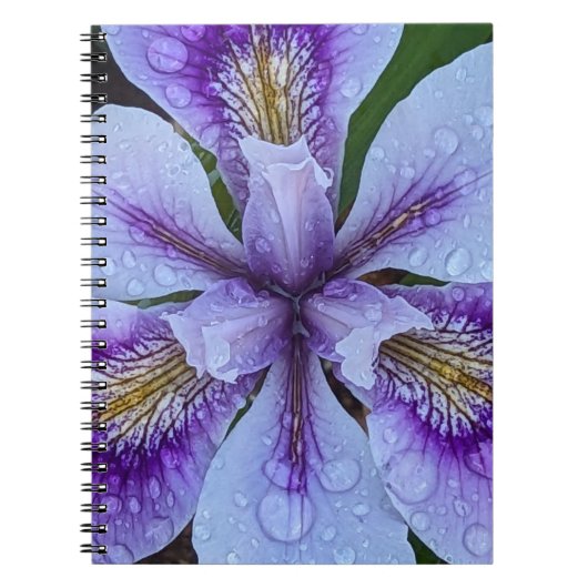 Carnet Flore d'Iris pourpre sans fil (Devant)