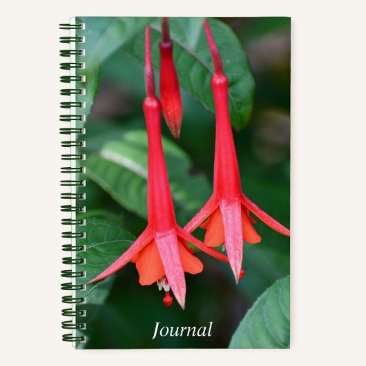 Carnet Flore mince rouge Fuchsia (Recto)