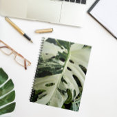 Carnet Flore Plante de Monstera variable